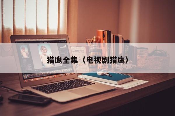猎鹰全集（电视剧猎鹰）