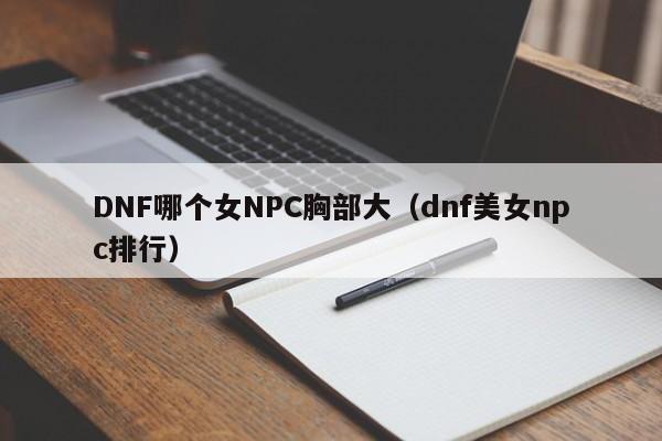 DNF哪个女NPC胸部大（dnf美女npc排行）