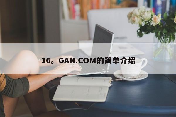 16。GAN.COM的简单介绍