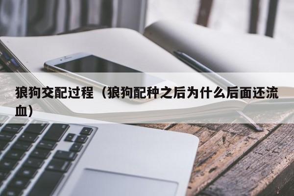 狼狗交配过程(狼狗配种之后为什么后面还流血)