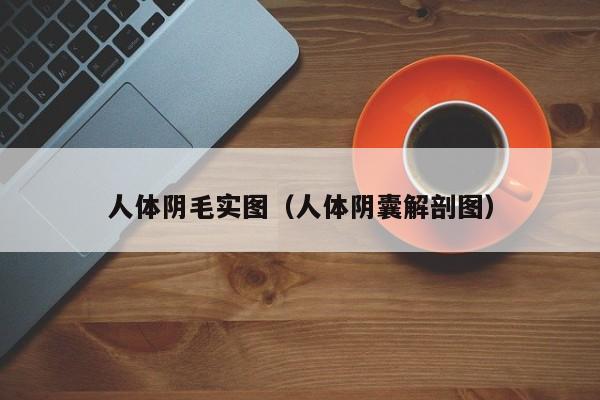 人体阴毛实图(人体阴囊解剖图)