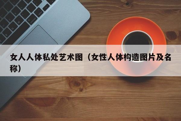 女人人体私处艺术图(女性人体构造图片及名称)