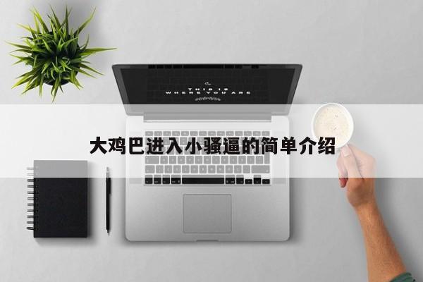 大鸡巴进入小骚逼的简单介绍