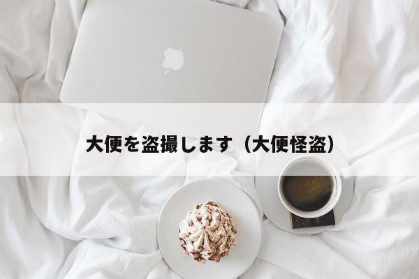 大便を盗撮します(大便怪盗)