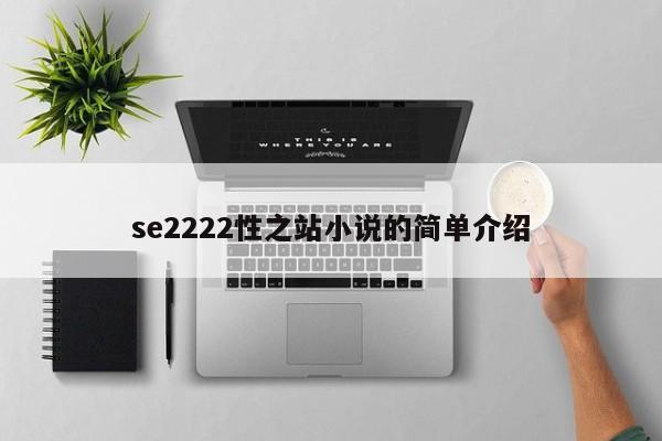 se2222性之站小说的简单介绍