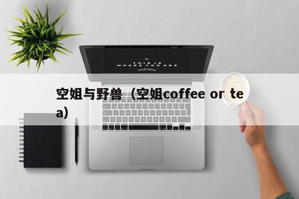 空姐与野兽(空姐coffee or tea)