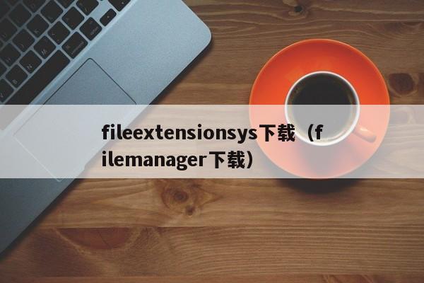 fileextensionsys下载(filemanager下载)