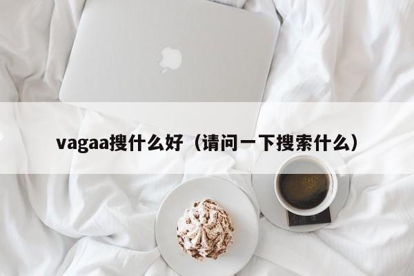 vagaa搜什么好(请问一下搜索什么)