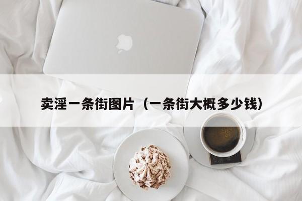 卖淫一条街图片(一条街大概多少钱)
