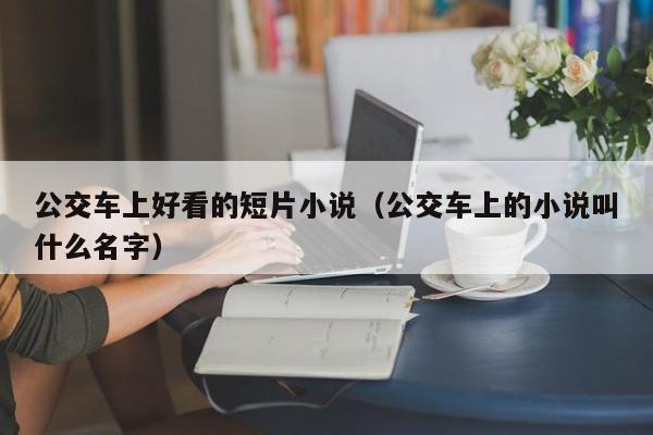 公交车上好看的短片小说（公交车上的小说叫什么名字）