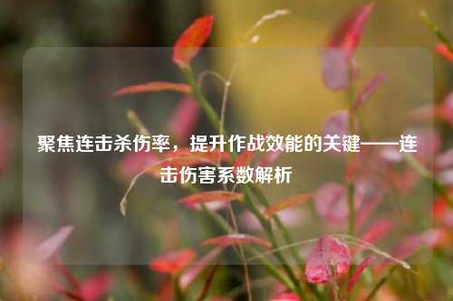 聚焦连击杀伤率，提升作战效能的关键——连击伤害系数解析