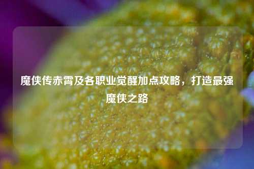 魔侠传赤霄及各职业觉醒加点攻略,打造最强魔侠之路