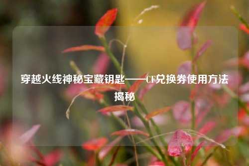 穿越火线神秘宝藏钥匙——CF兑换券使用     揭秘