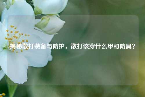 揭秘散打装备与防护，散打该穿什么甲和防具？