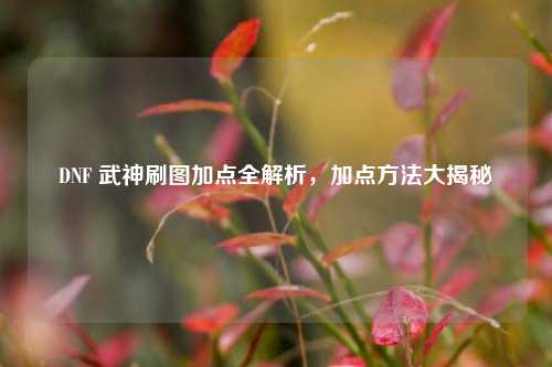 DNF 武神刷图加点全解析，加点     大揭秘