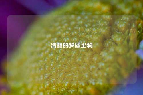 清醒的梦魇坐骑