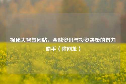 探秘大智慧网站，金融资讯与投资决策的得力助手（附网址）