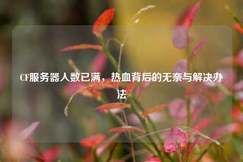 CF服务器人数已满，热血背后的无奈与解决办法