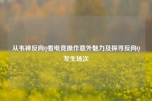 从韦神反向Q看电竞操作意外魅力及探寻反向Q发生场次