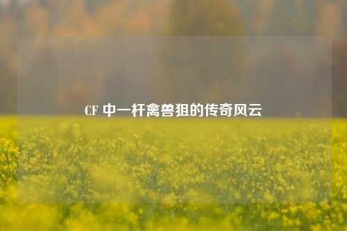 CF 中一杆禽兽狙的传奇风云
