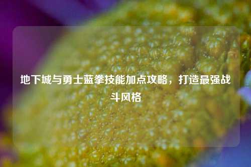 地下城与勇士蓝拳技能加点攻略，打造最强战斗风格