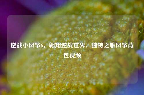 逆战小风筝6，翱翔逆战世界，独特之旅风筝背包视频