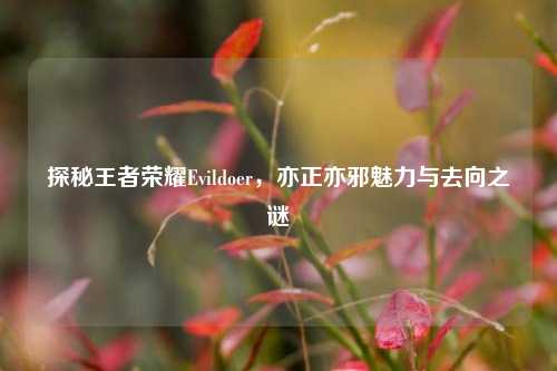 探秘王者荣耀Evildoer，亦正亦邪魅力与去向之谜