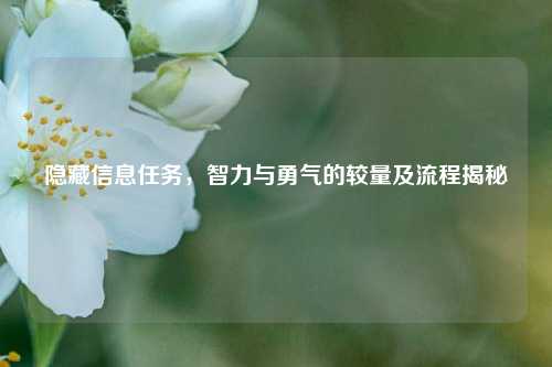 隐藏信息任务，智力与勇气的较量及流程揭秘
