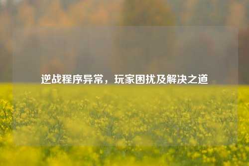 逆战程序异常，玩家困扰及解决之道
