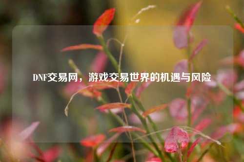 DNF交易网，游戏交易世界的机遇与风险
