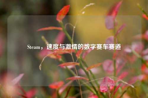 Steam，速度与     的数字赛车赛道