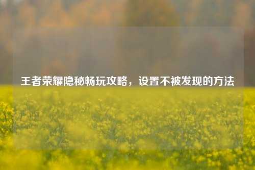 王者荣耀隐秘畅玩攻略，设置不被发现的     