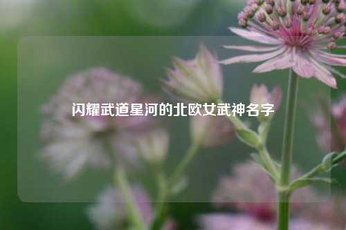 闪耀武道星河的北欧女武神名字
