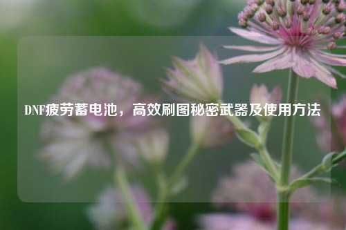 DNF疲劳蓄电池，高效刷图秘密武器及使用     