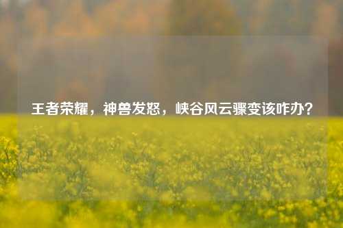 王者荣耀，神兽发怒，峡谷风云骤变该咋办？