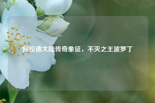 阿拉德大陆传奇象征，不灭之王波罗丁