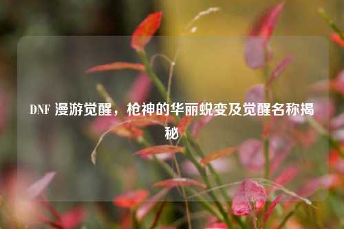 DNF 漫游觉醒，枪神的华丽蜕变及觉醒名称揭秘