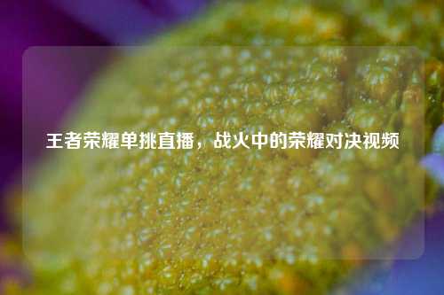 王者荣耀单挑直播，战火中的荣耀对决视频