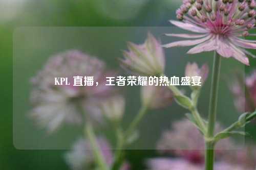 KPL 直播，王者荣耀的热血盛宴