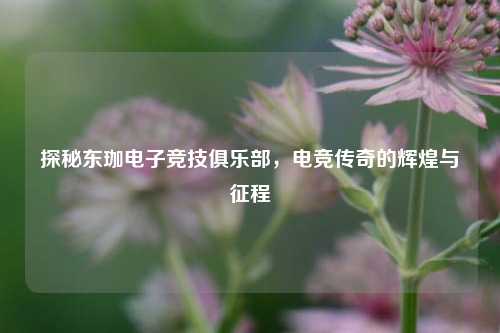 探秘东珈电子竞技俱乐部，电竞传奇的辉煌与征程