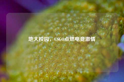 地大校园，CSGO点燃电竞     