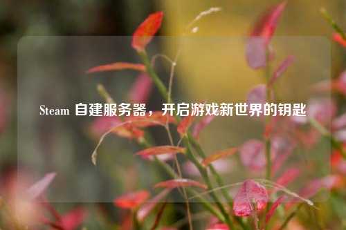 Steam 自建服务器，开启游戏新世界的钥匙