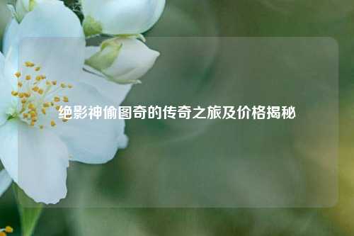 绝影神偷图奇的传奇之旅及价格揭秘