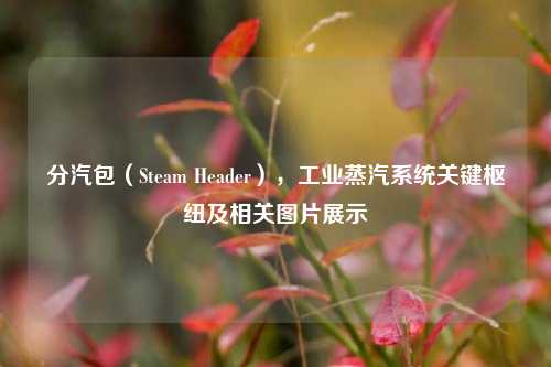 分汽包(Steam Header),工业蒸汽系统关键枢纽及相关图片展示