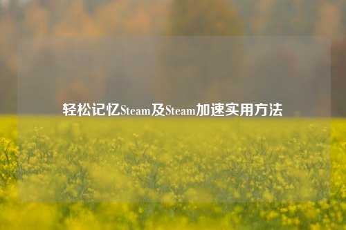 轻松记忆Steam及Steam加速实用     
