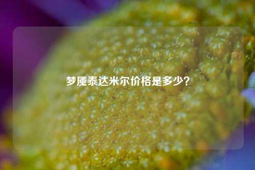 梦魇泰达米尔价格是多少？