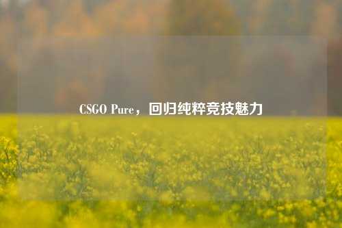 CSGO Pure，回归纯粹竞技魅力