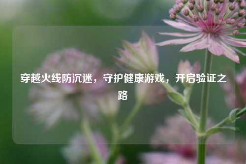 穿越火线防沉迷,守护健康游戏,开启验证之路