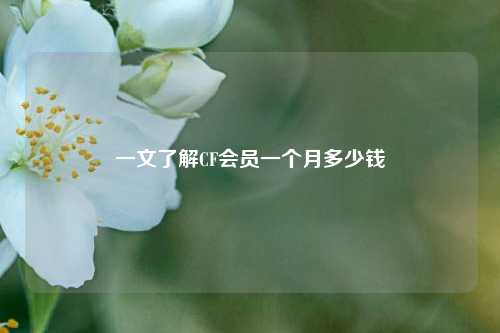一文了解CF会员一个月多少钱