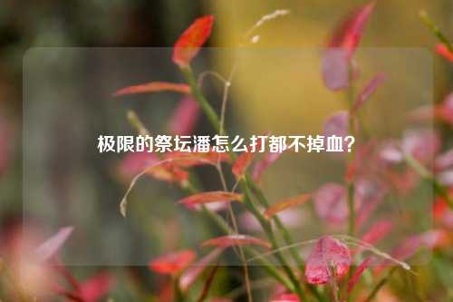 极限的祭坛潘怎么打都不掉血?